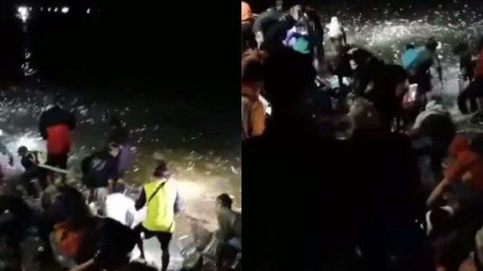 Penjelasan Viral Jutaan Ikan Terbang ke Daratan di Pantai Selatan Priangan Timur